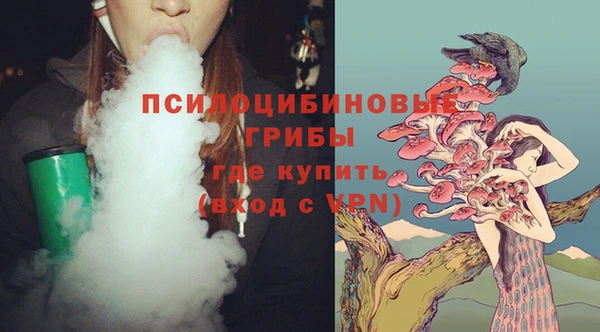 стаф Горно-Алтайск