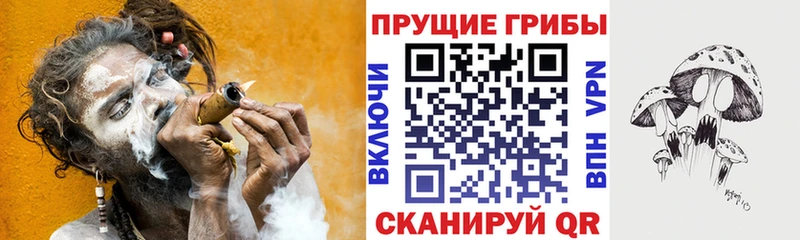 Псилоцибиновые грибы Psilocybe  магазин    Сургут 